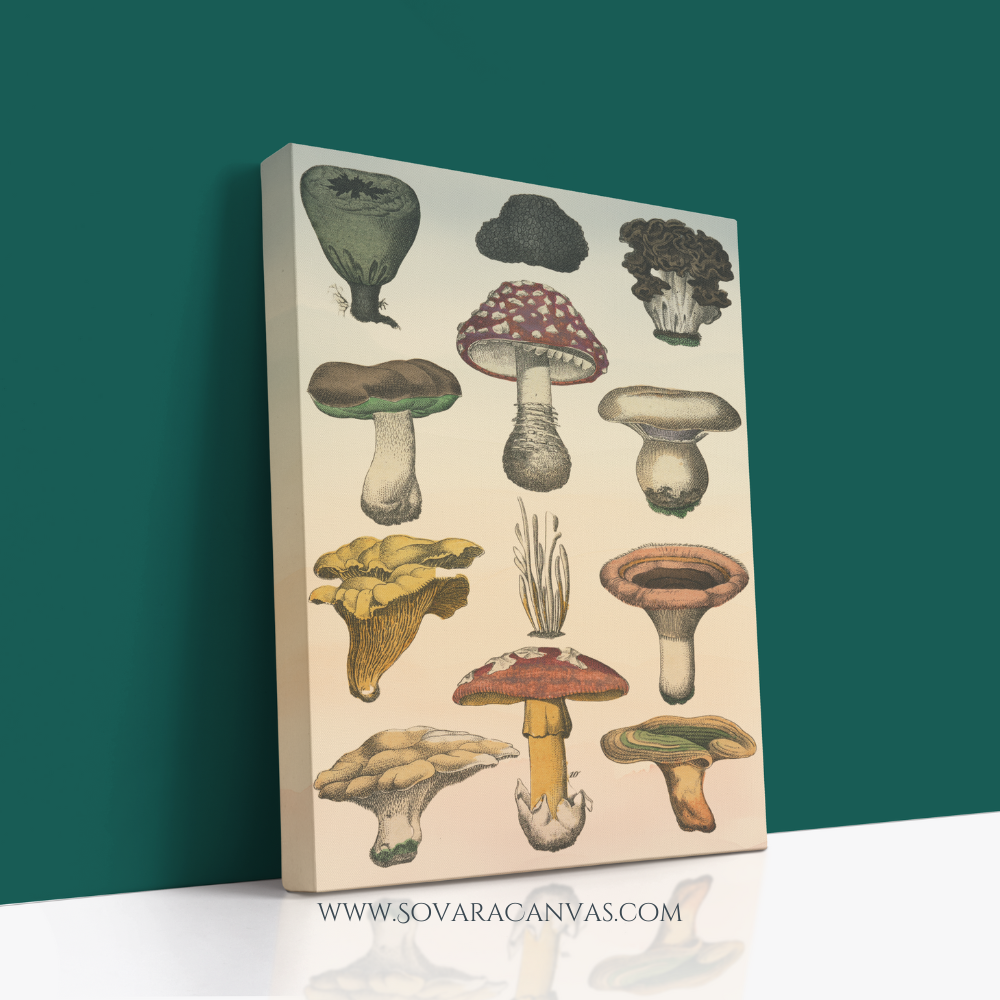 Mushroom Canvas Wall Art – Nature Decor, Gallery Wrapped, Nature-Inspired Art for  Home or Busines